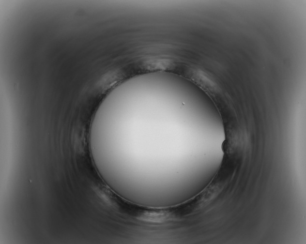 X0000086750414200704201729