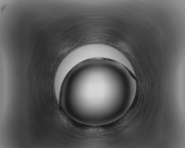 X0000086750415200704201729