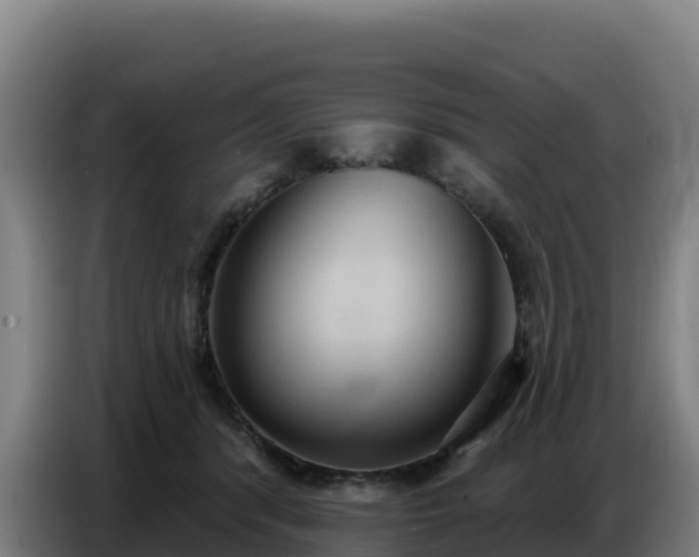 X0000086750416200704201729