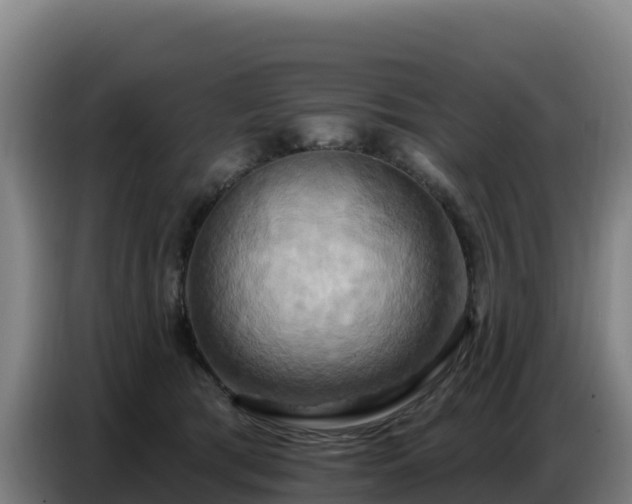 X0000086750417200704201729