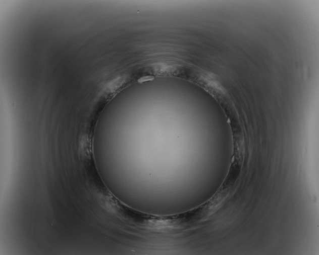 X0000086750419200704201729