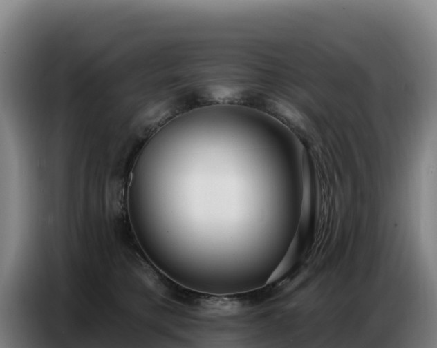 X0000086750421200704201729