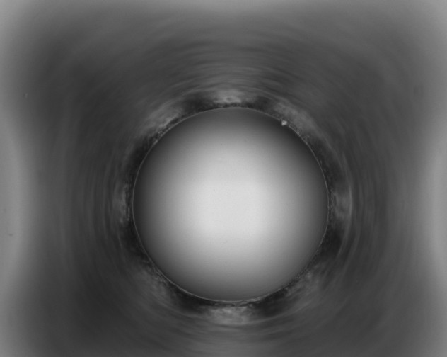 X0000086750422200704201729