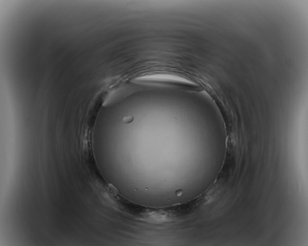 X0000086750423200704201729