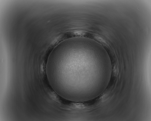 X0000086750424200704201729