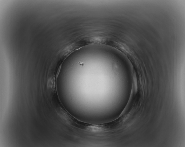 X0000086750425200704201729