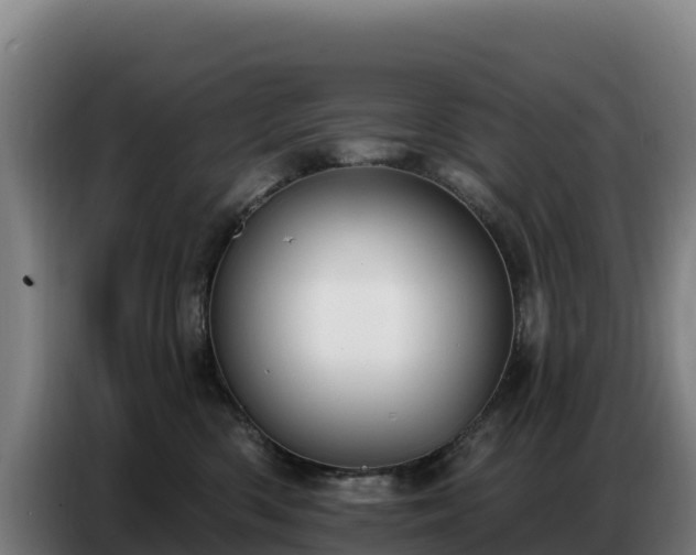 X0000086750426200704201729