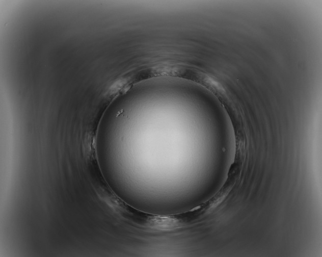 X0000086750429200704201729