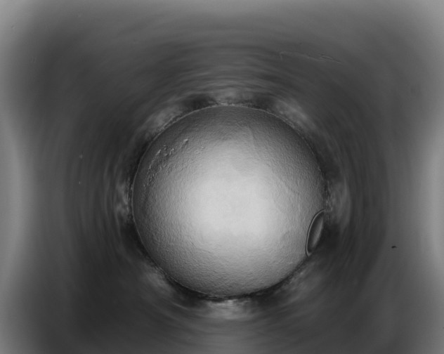 X0000086750430200704201729