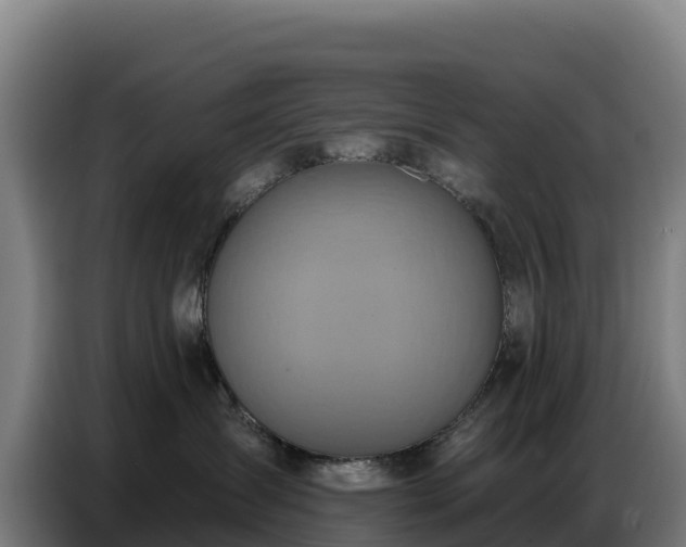 X0000086750431200704201729