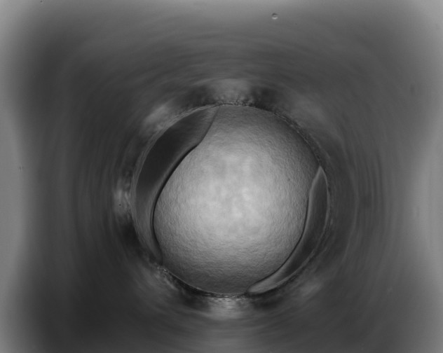 X0000086750432200704201729