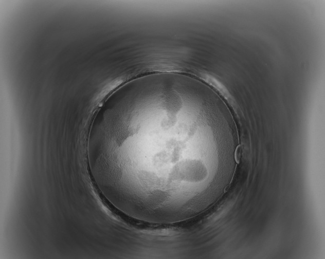 X0000086750433200704201728