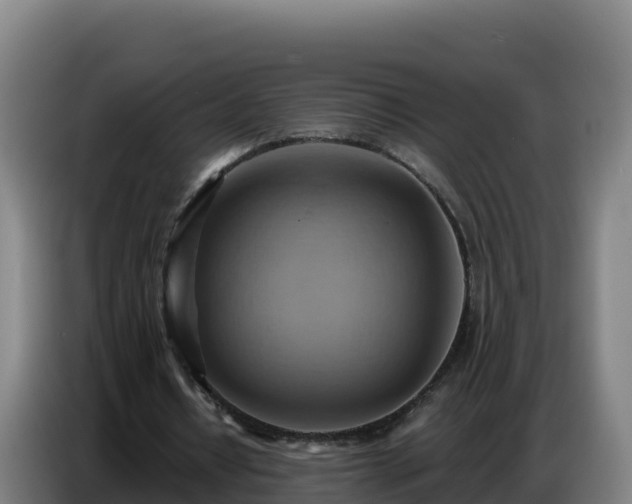 X0000086750434200704201728