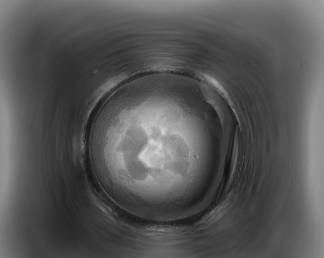 X0000086750435200704201728