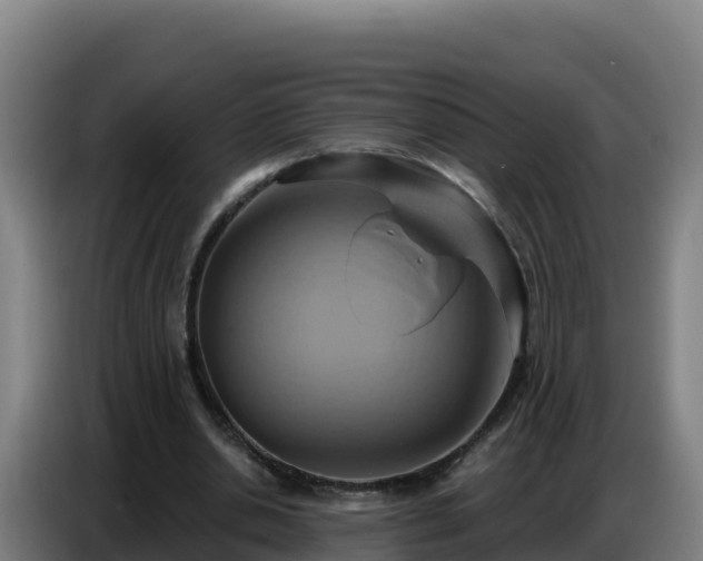 X0000086750438200704201728