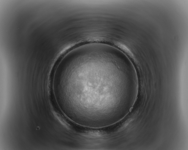 X0000086750439200704201728