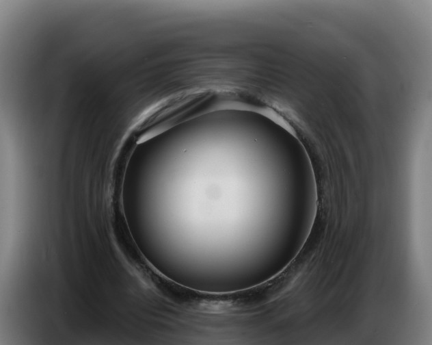 X0000086750440200704201728