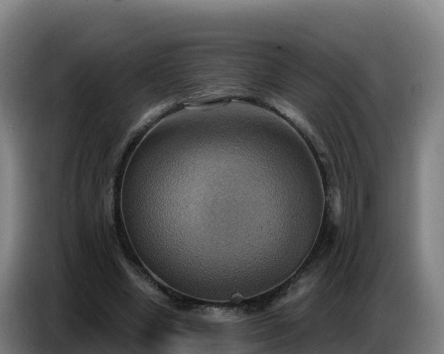 X0000086750442200704201728