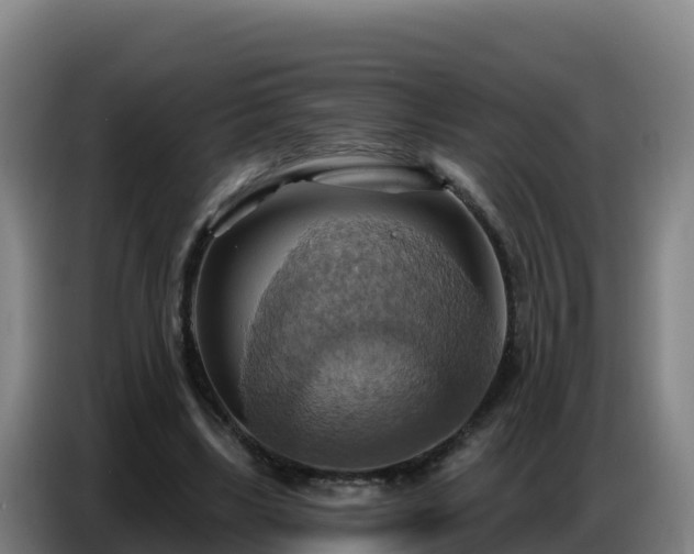 X0000086750443200704201728