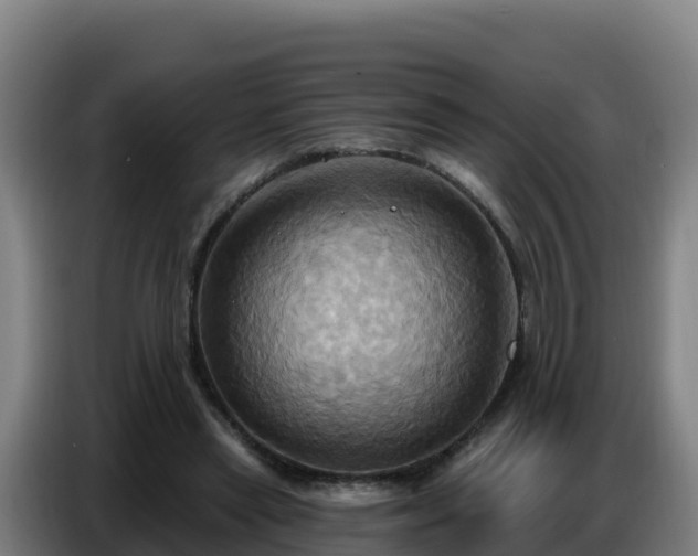 X0000086750445200704201728