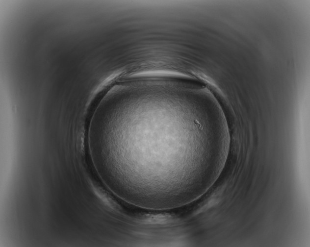 X0000086750446200704201728