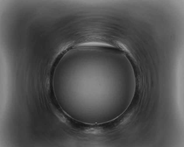 X0000086750447200704201728