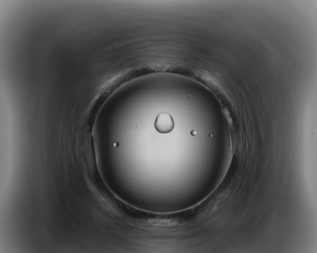 X0000086750448200704201728