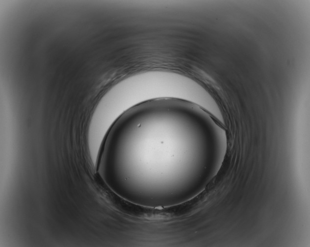 X0000086750452200704201728