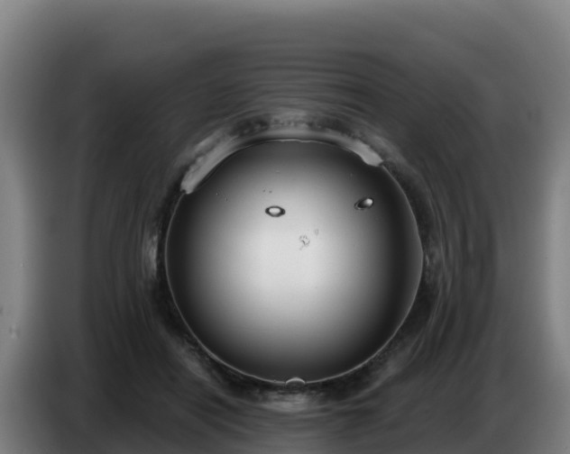 X0000086750454200704201728