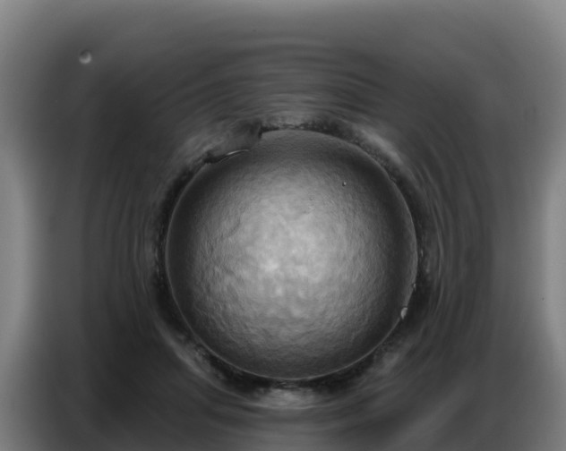 X0000086750455200704201728