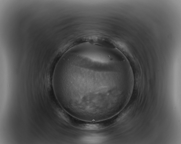 X0000086750457200704201728