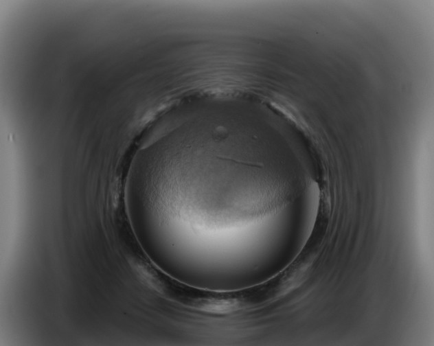 X0000086750458200704201728