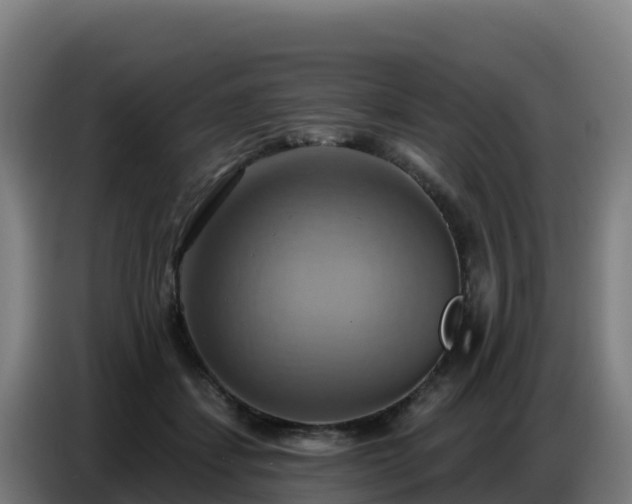 X0000086750459200704201728