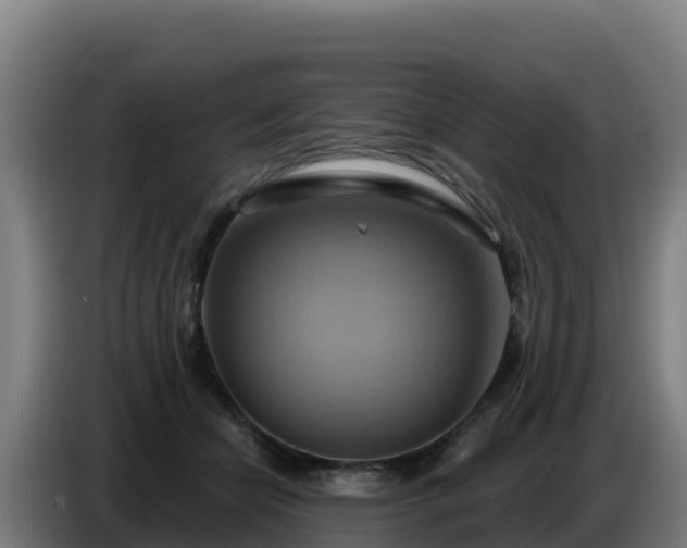 X0000086750462200704201728