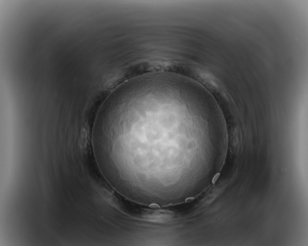 X0000086750463200704201728