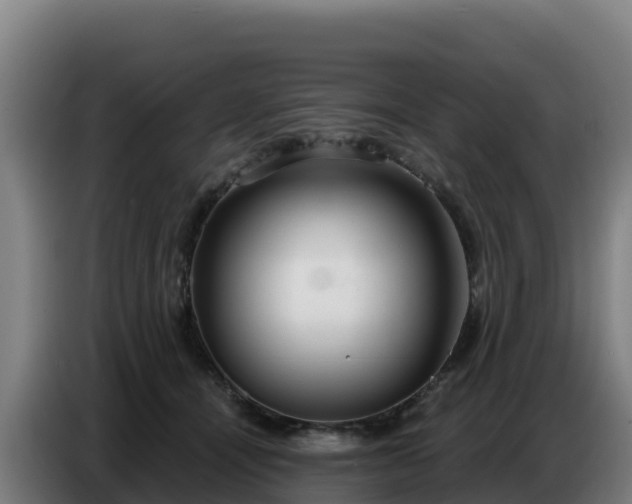 X0000086750464200704201728