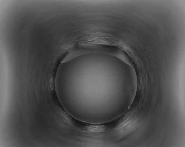 X0000086750465200704201728