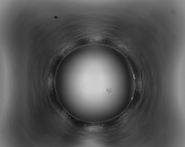 X0000086750468200704201729