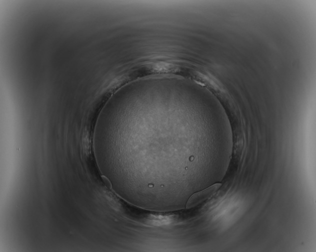 X0000086750469200704201729