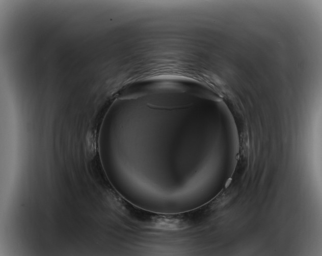 X0000086750471200704201729