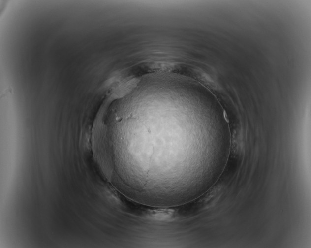 X0000086750474200704201729