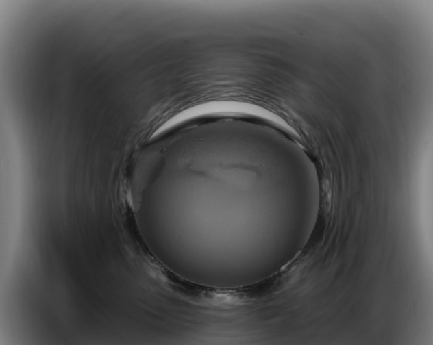 X0000086750475200704201729