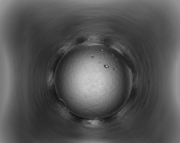 X0000086750478200704201729