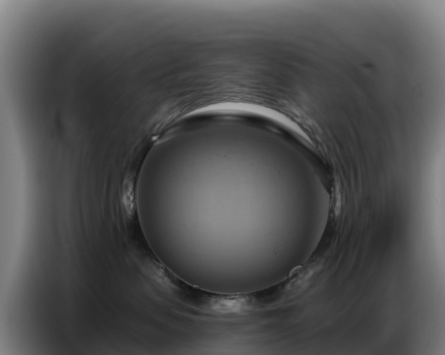 X0000086750479200704201729