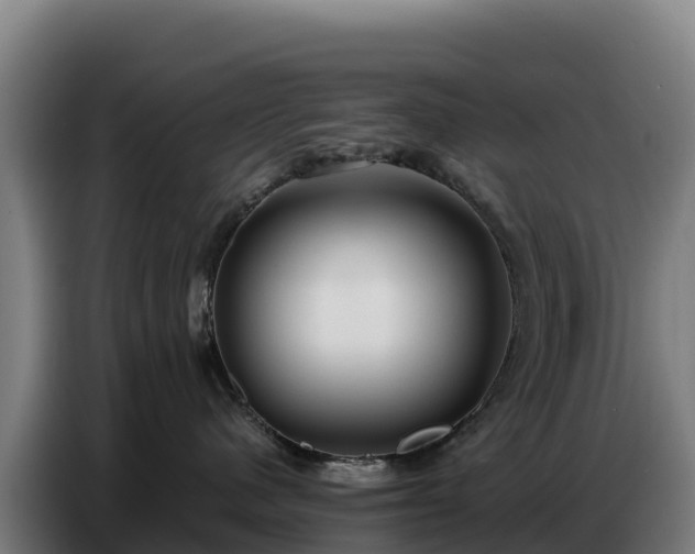 X0000086750480200704201729