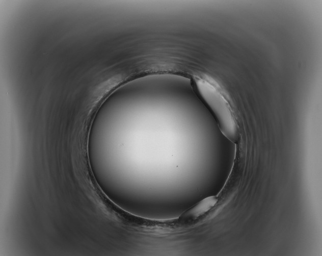 X0000086750481200704201728