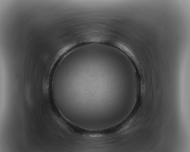 X0000086750483200704201728