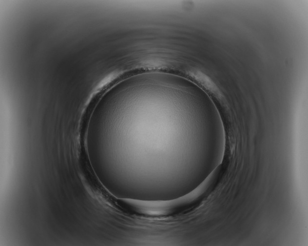 X0000086750488200704201728