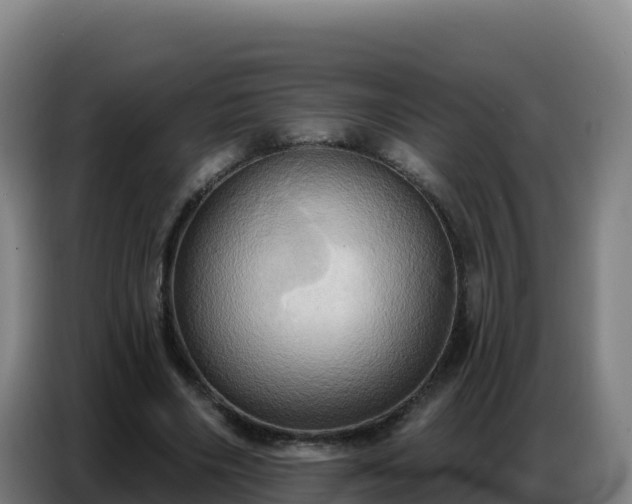 X0000086750490200704201728