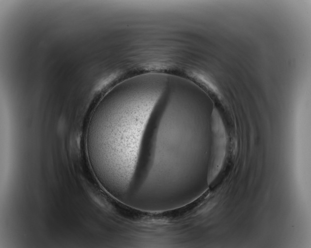 X0000086750491200704201728